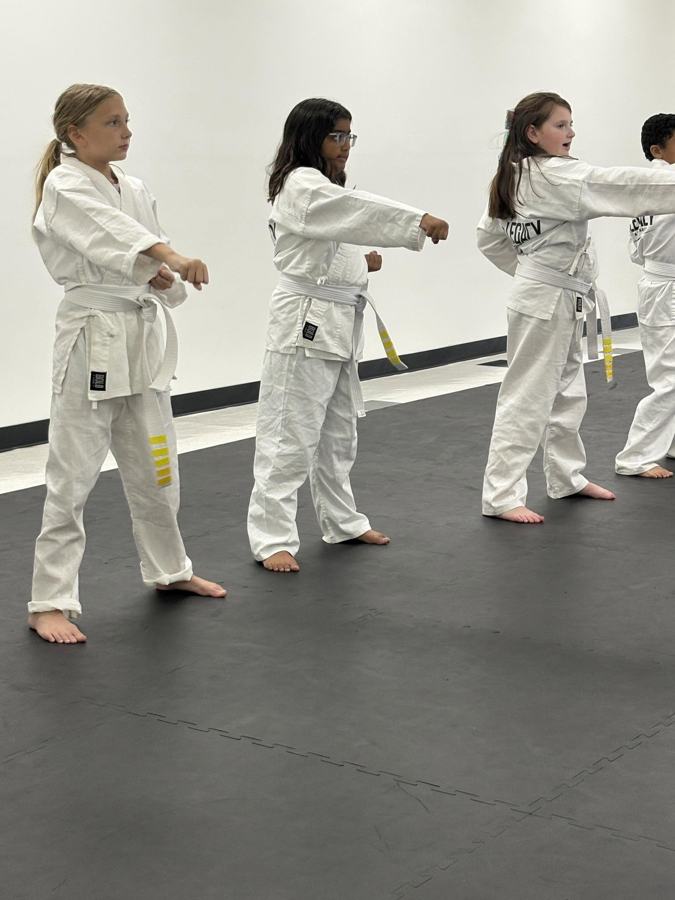 Kids karate class ages 6 to 12 practicing punches at Legacy Martial Arts in Salisbury, Maryland